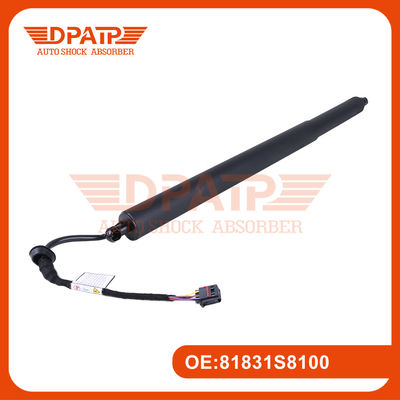 81831S8100 إصدارات الباب الخلفي الكهربائية