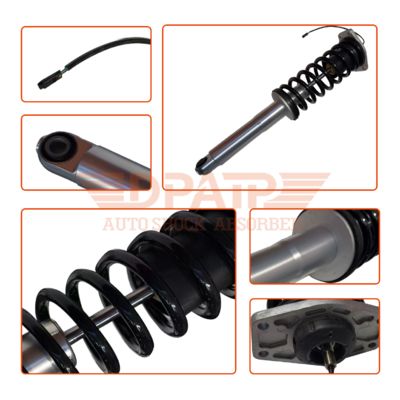 قطع غيار السيارات 248256 مجموعات نظام التعليق الملف اللولبي نوابض ممتص الصدمات الخلفي ممتص الصدمات الحثي لسيارة Maserati Quattroporte M139 2007-